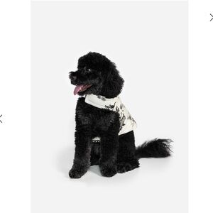 Johnny Was Black and White Dreamer Puffer Dog Jacket